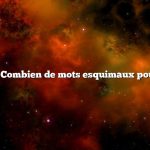 Question : Combien de mots esquimaux pour la neige